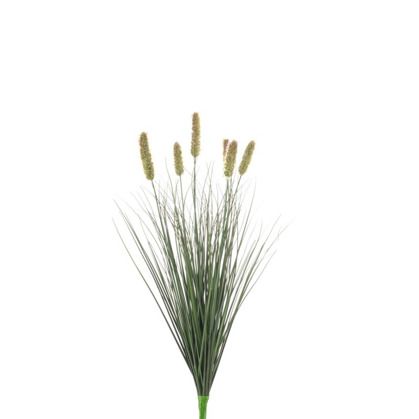 Pennisetum bush 60cm