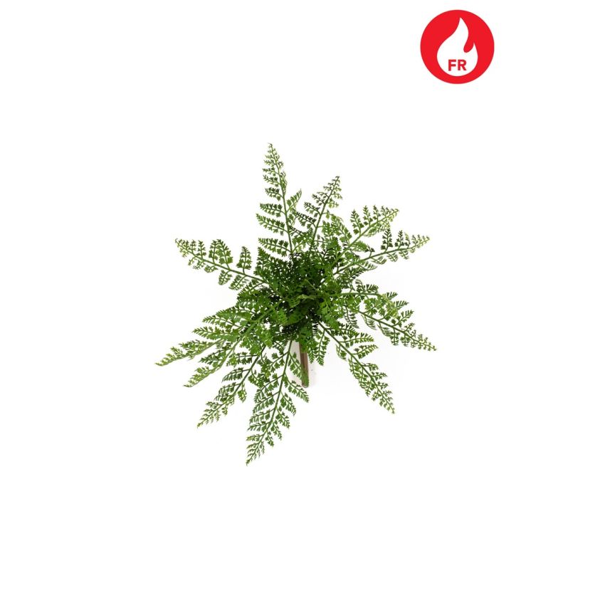 Rumohra fern bush FR 32cm