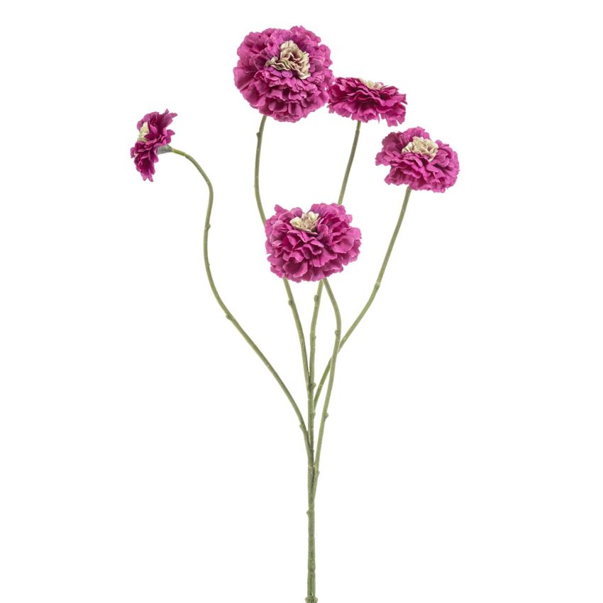 Zinnia spray beauty/green 90cm