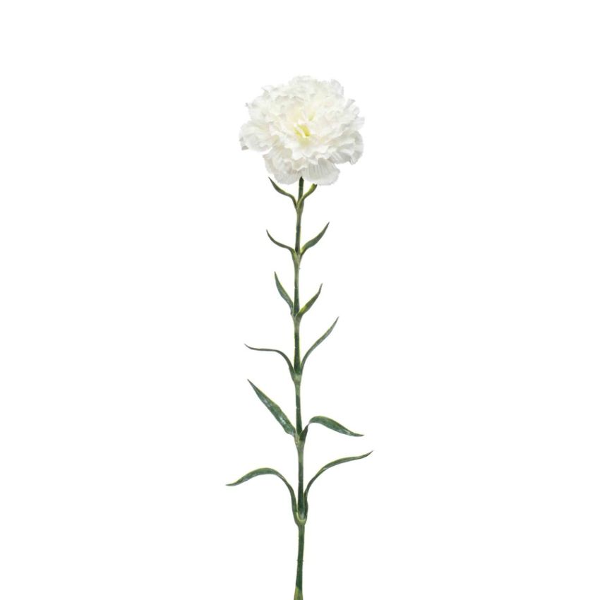 Dianthus spray white 67cm