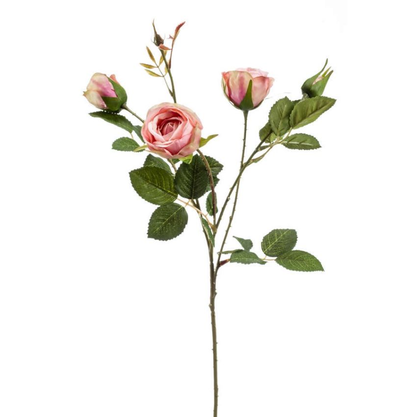 Rose peggy spray pink 60cm