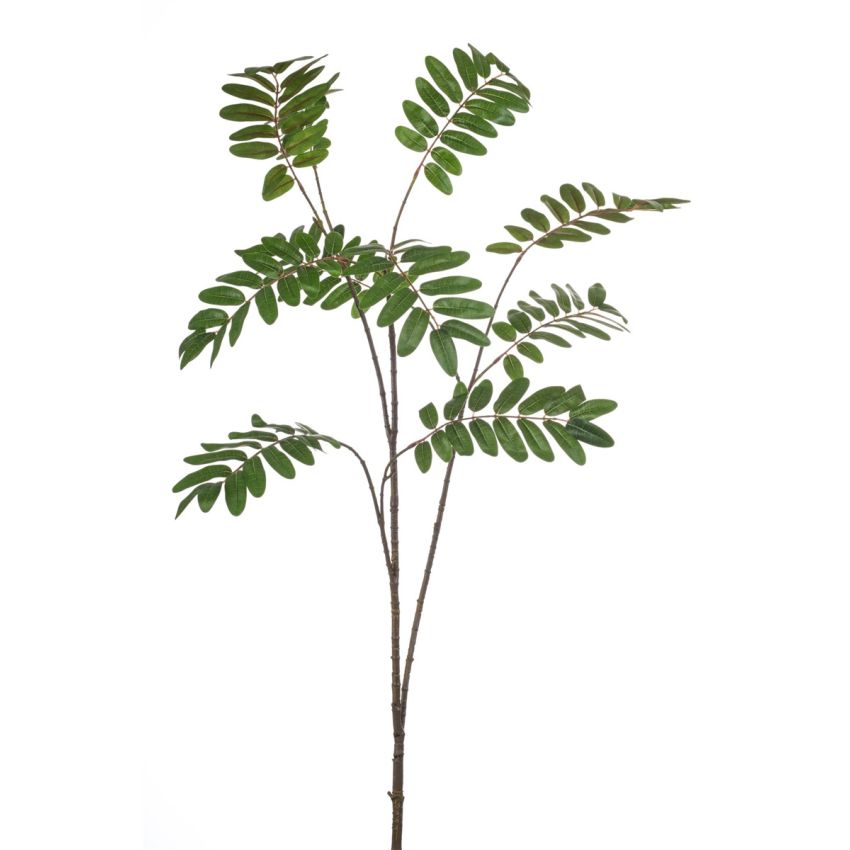 Mahonia spray XL green 150cm