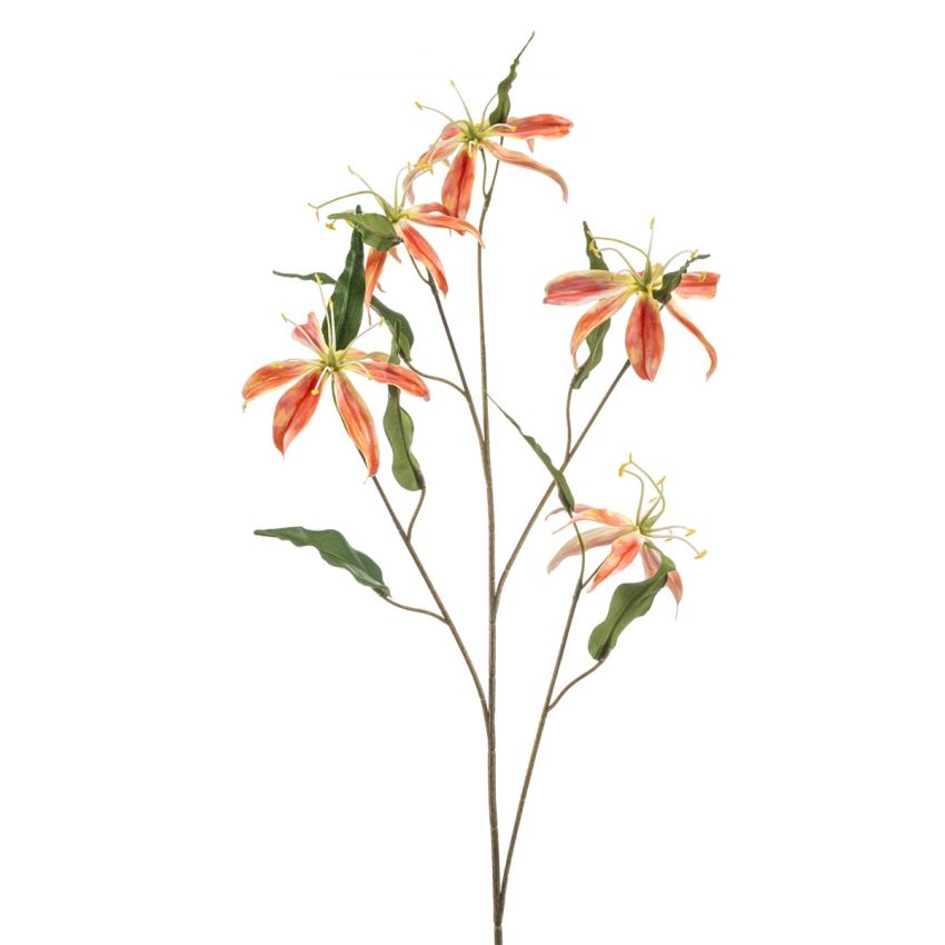 Gloriosa spray orange 105cm