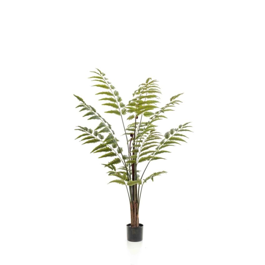 Fern leather plant green 150cm
