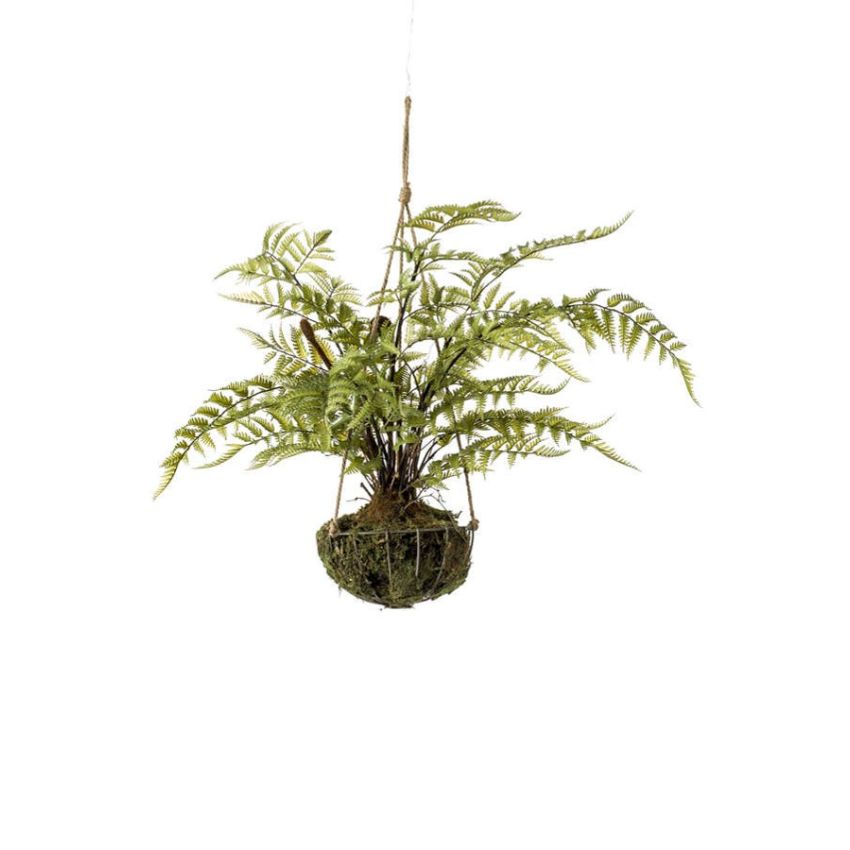 Fern forest on iron stand round hanging 75cm