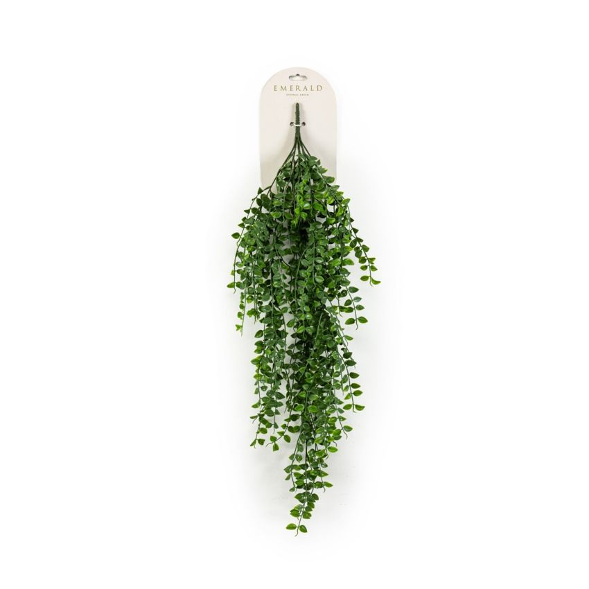 Ficus pimula hanging bush green 80cm