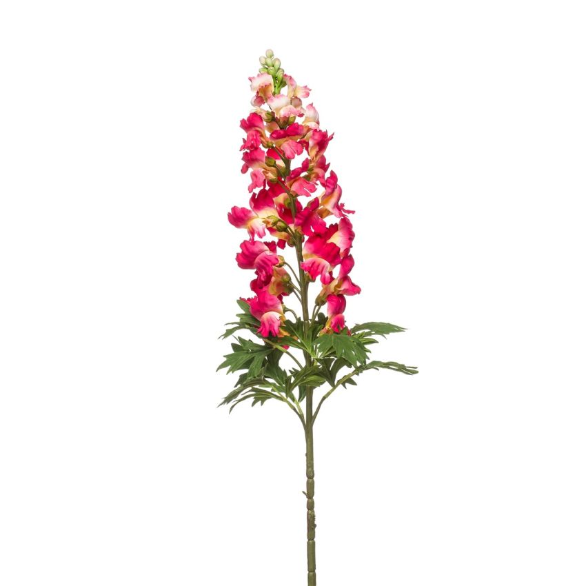 Antirrhinum spray fuchsia 92cm