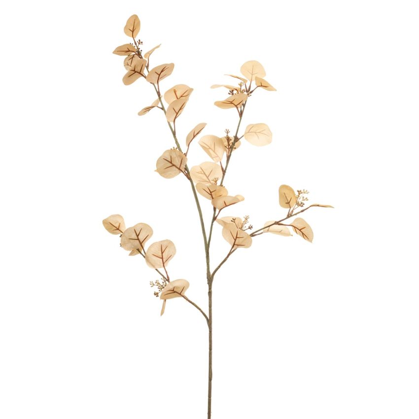 Eucalyptus spray cream 105cm