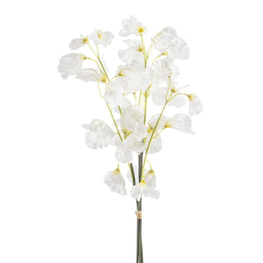 Lathyrus bundle x3 white 48cm
