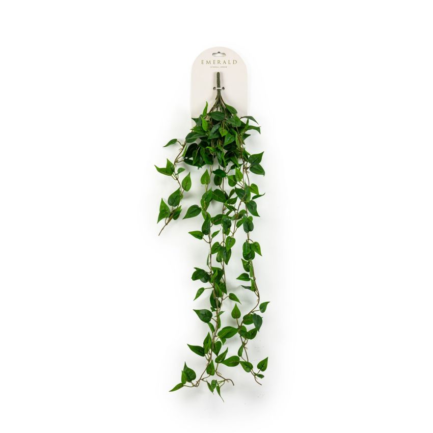 Philodendron hanging bush green 85cm