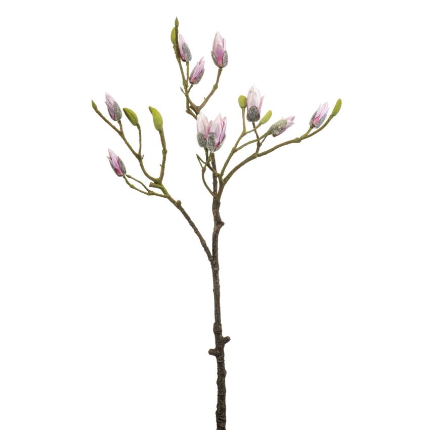 Magnolia spary pink 90cm