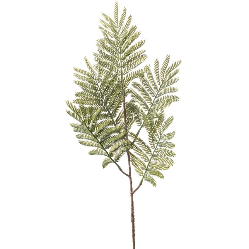 Mimosa lvs spray green 73cm