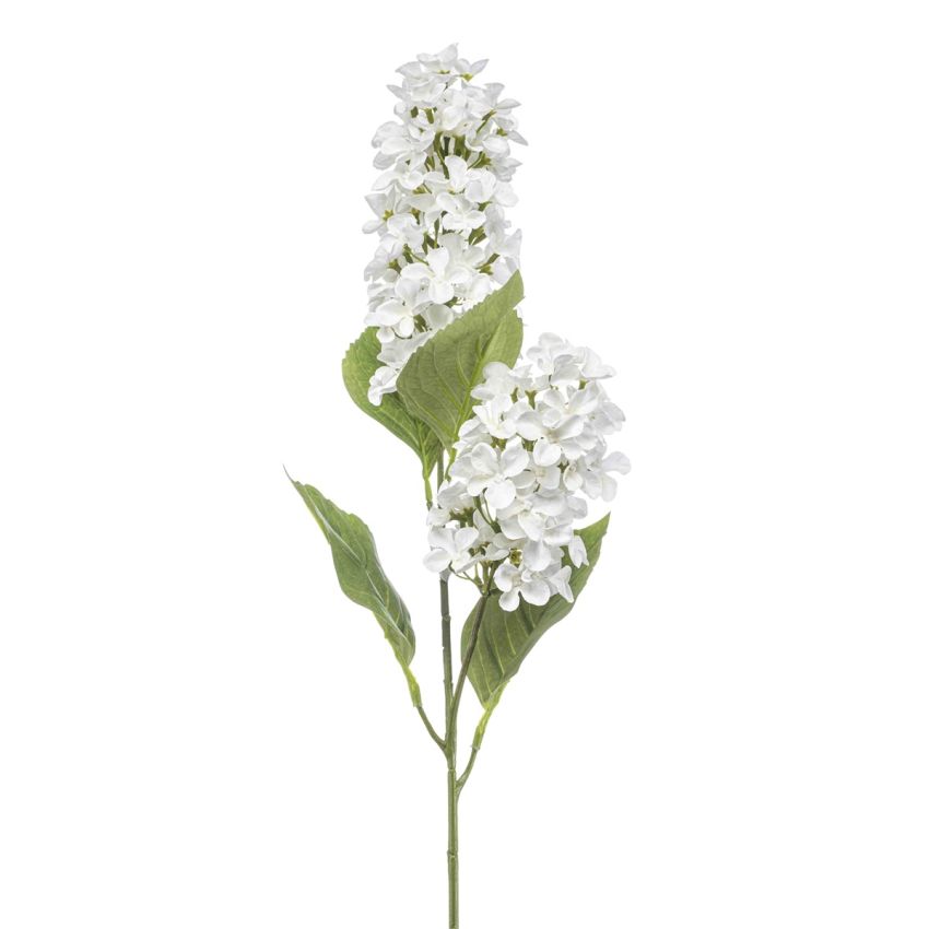 Hydrangea paniculata spray white 76cm