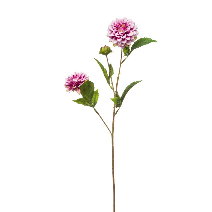 Dahlia mini spray purple 68cm