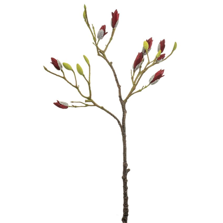 Magnolia spary red 90cm