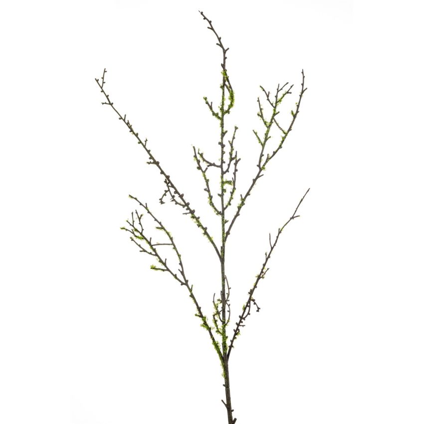 Moss spray green  100cm