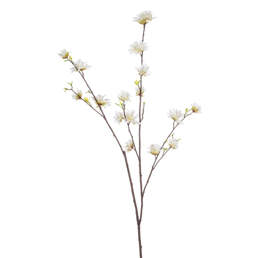 Hamamelis spray white 110cm