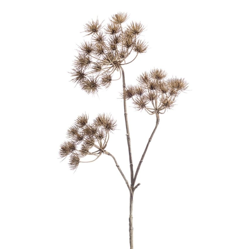 Heracleum spray lt brown 102cm