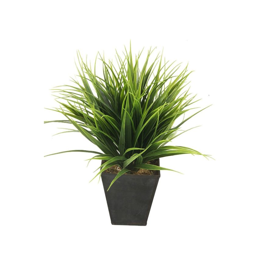 Grass bush green in zinc pot 30cm