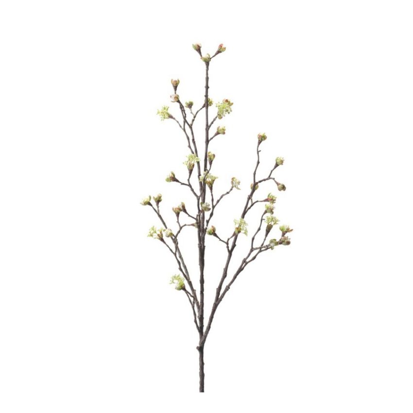 Maple fruit spray cream 110cm