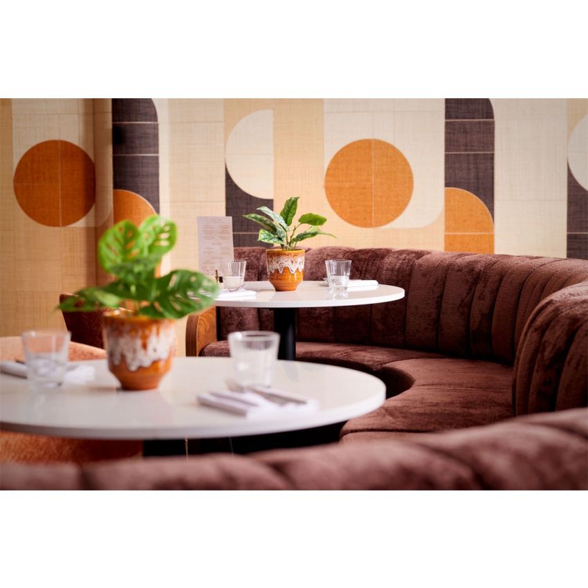 Scindapsus pictus bush green/grey 30cm in black pot