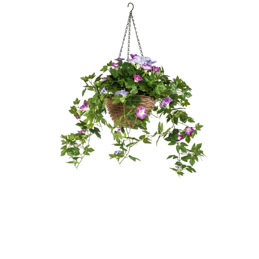 Petunia in hanging basket tt purple 70cm