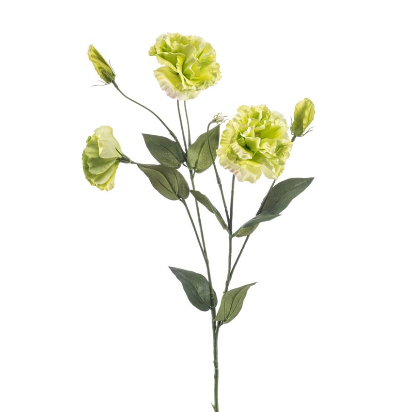 Eustoma spray green 75cm