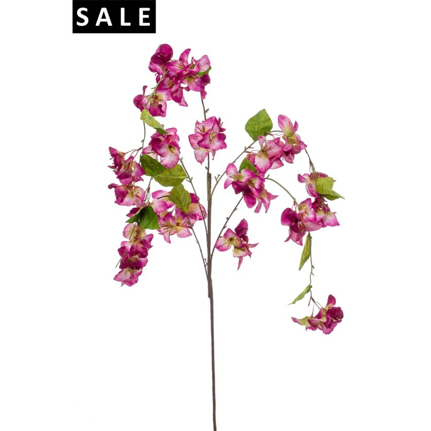 Bougainvillea hanging spray lt purple 120cm