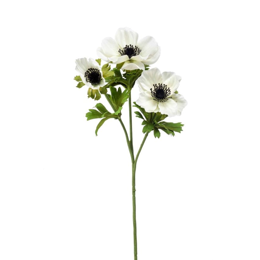 Anemone spray cream 55cm