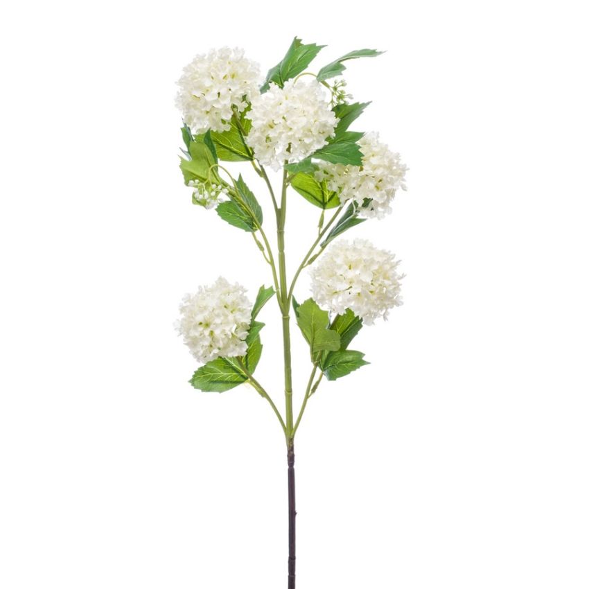 Viburnum spray cream 75cm