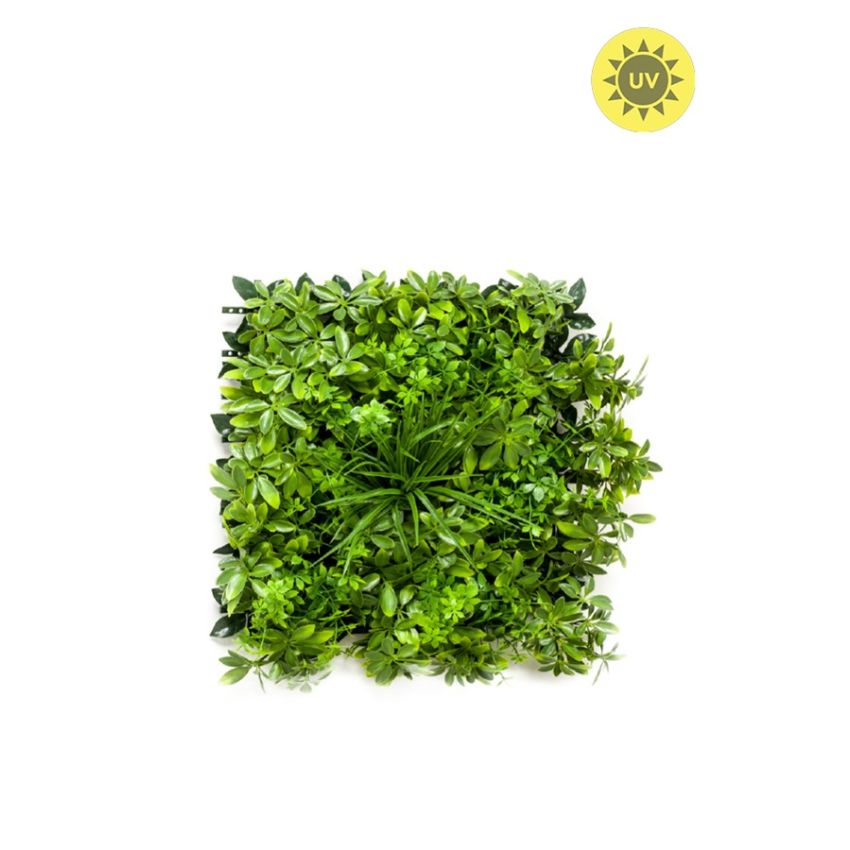 Schefflera mat weather resistant/UV 50x50cm
