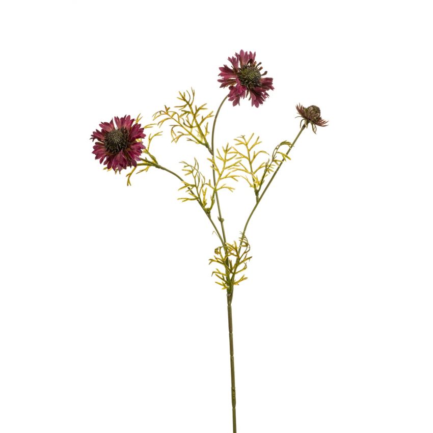 Scabiosa spray beauty 68cm