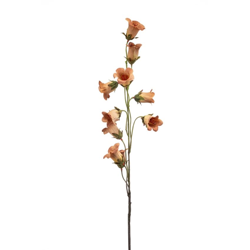 Campanula spray peach 85cm