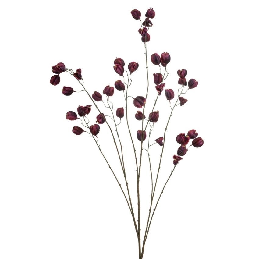 Physalis spray purple 135cm