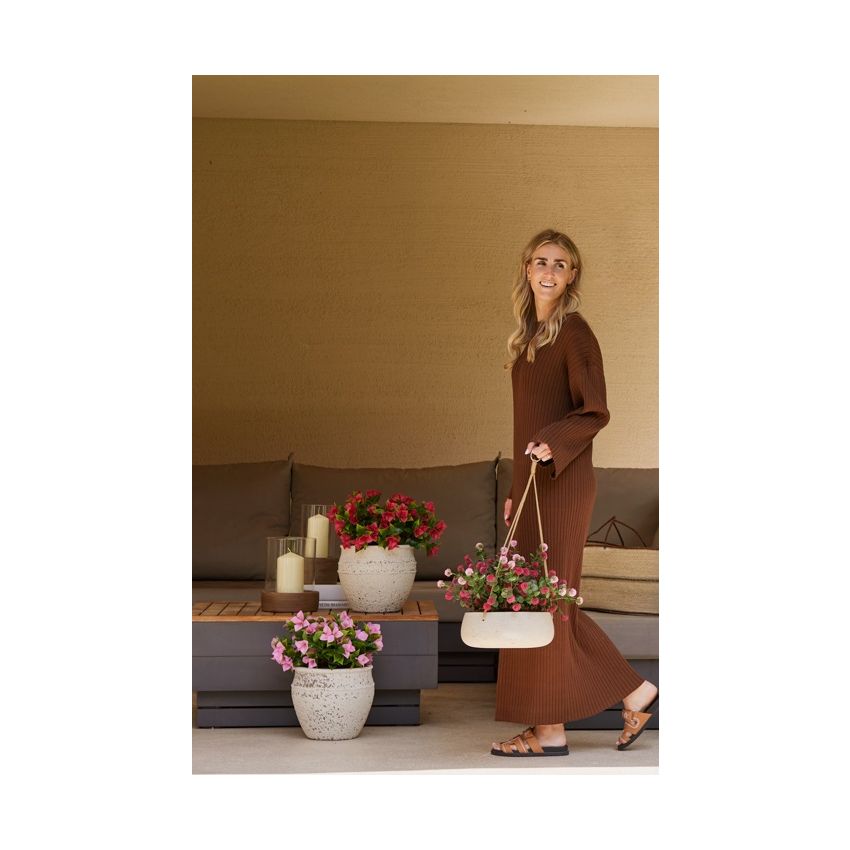 Bellis bush UV pink/beauty 36cm