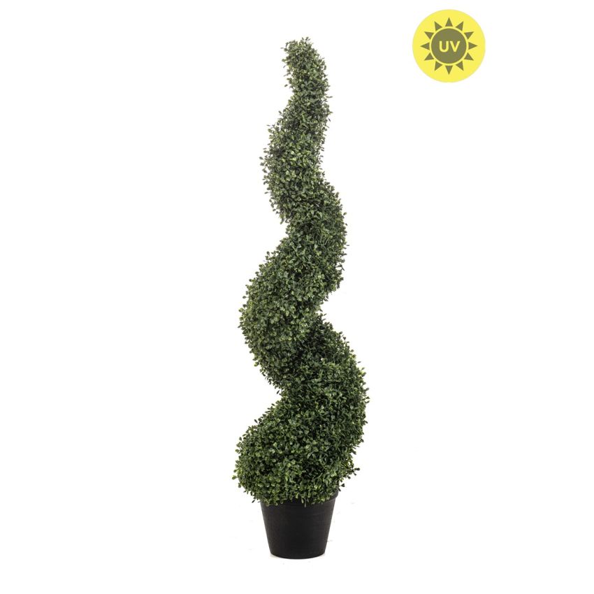 Boxwood spiral UV 120cm