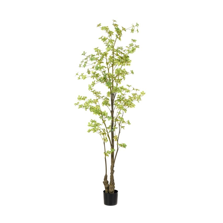 Tropaeolum plant green 210cm (knock down packing)