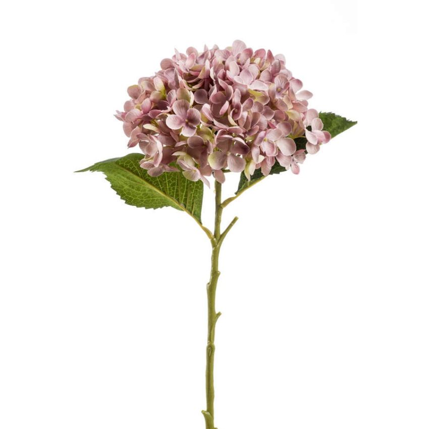 Hydrangea annabelle stem lt purple 52cm