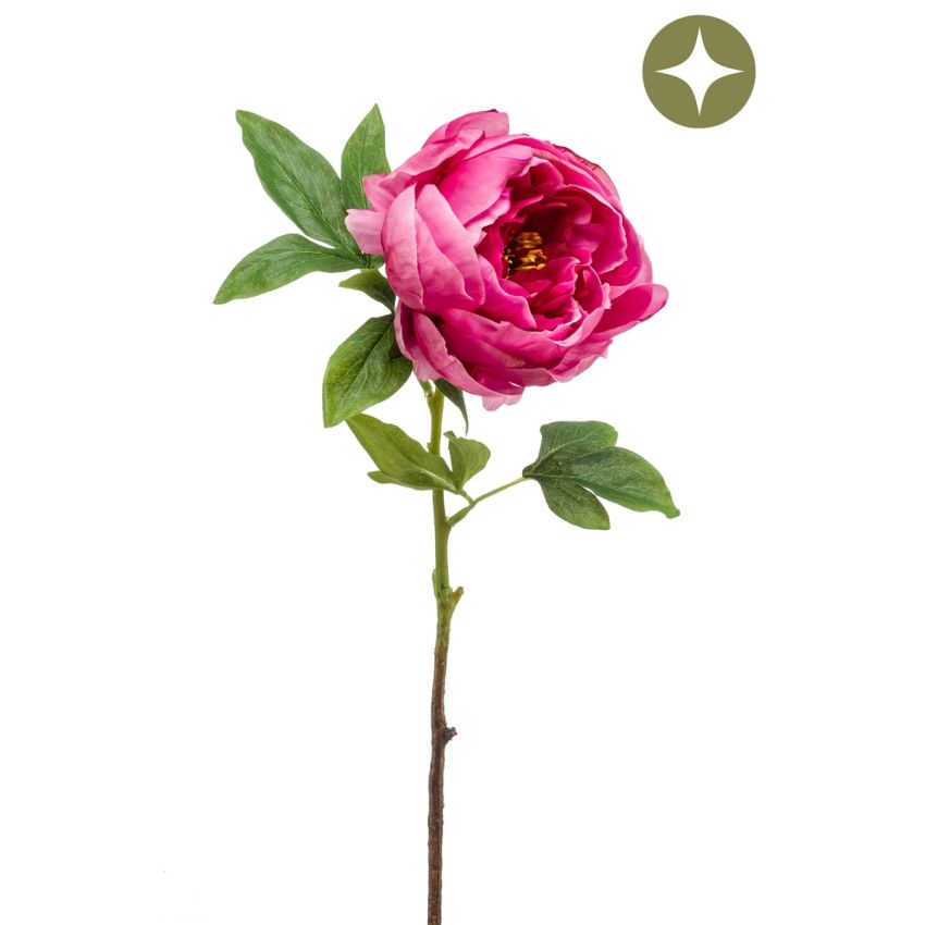 Peony spray beauty 63cm