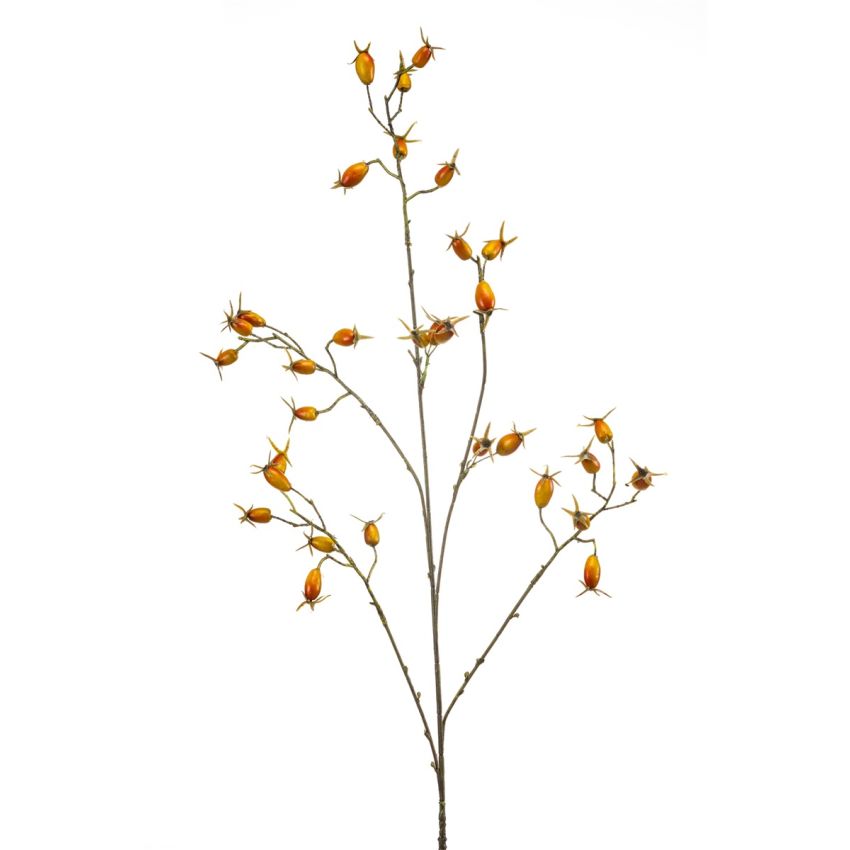 Rosehip spray orange 90cm