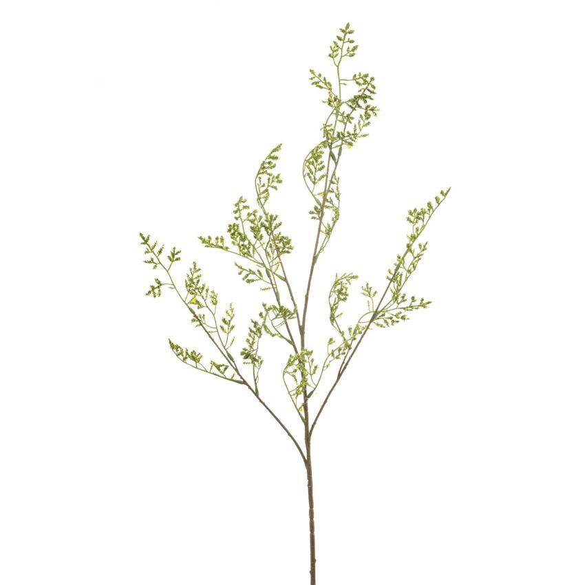 Achillea spray green 100cm