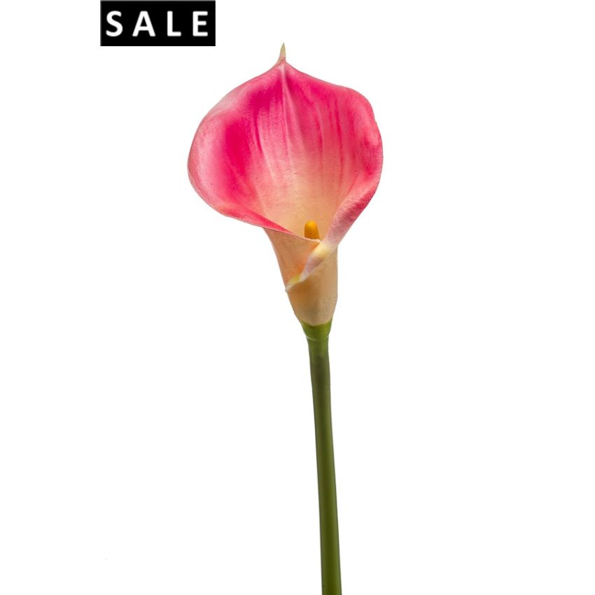 Calla lily stem pink 70cm