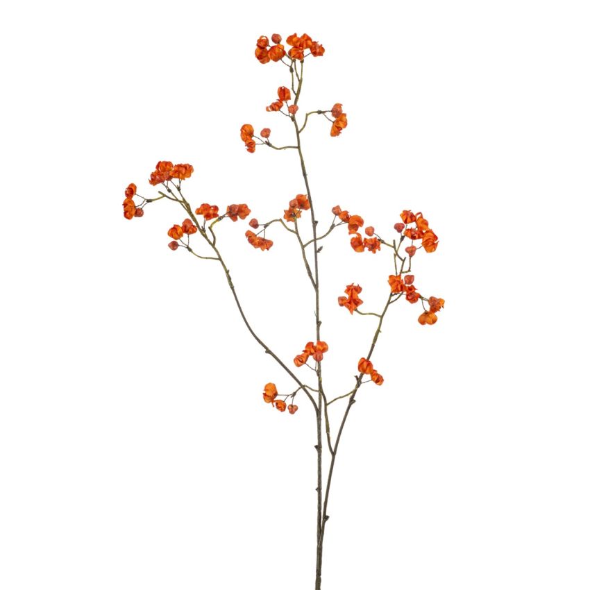 Euonymus spray x3 orange 90cm