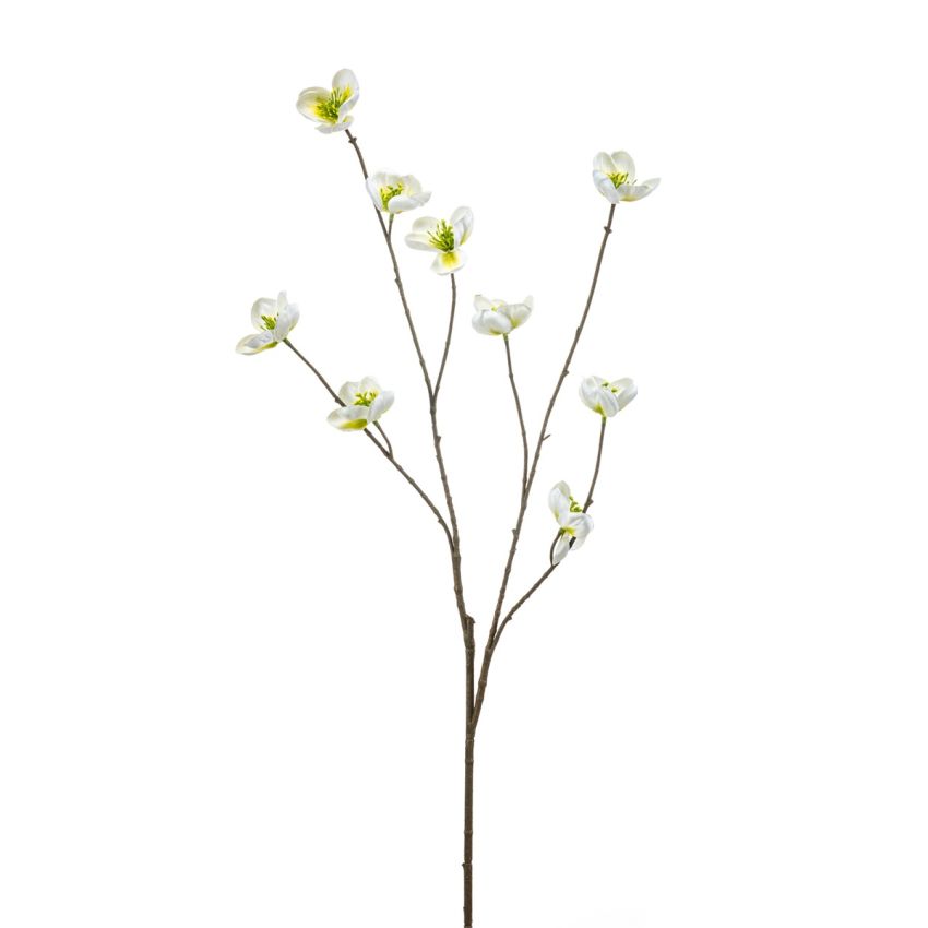 Helleborus spray white 110cm