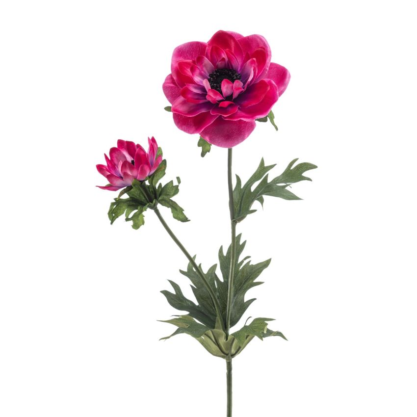 Anemone spray fuchsia 54cm