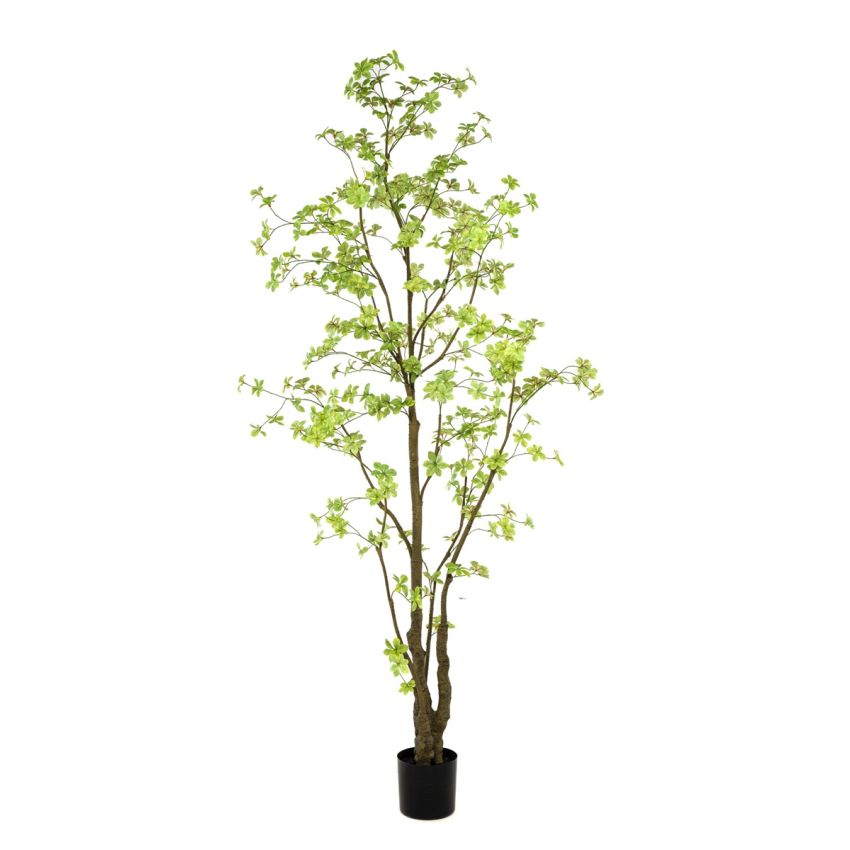 Tropaeolum plant green 270cm (knock down packing)