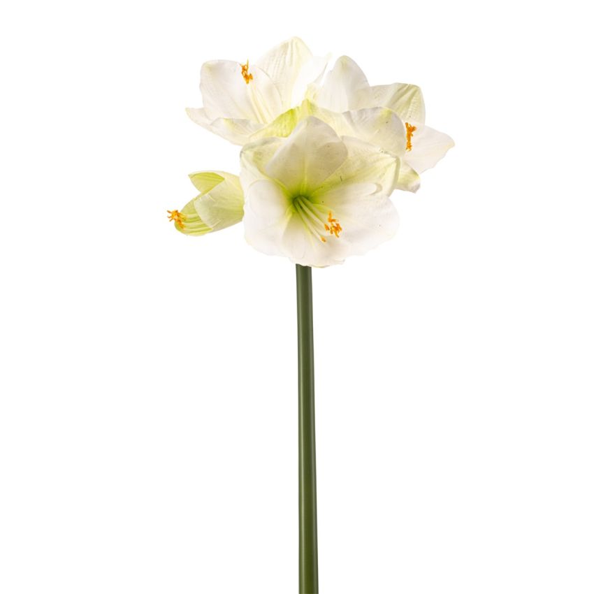 Amaryllis spray RT white/green 62cm