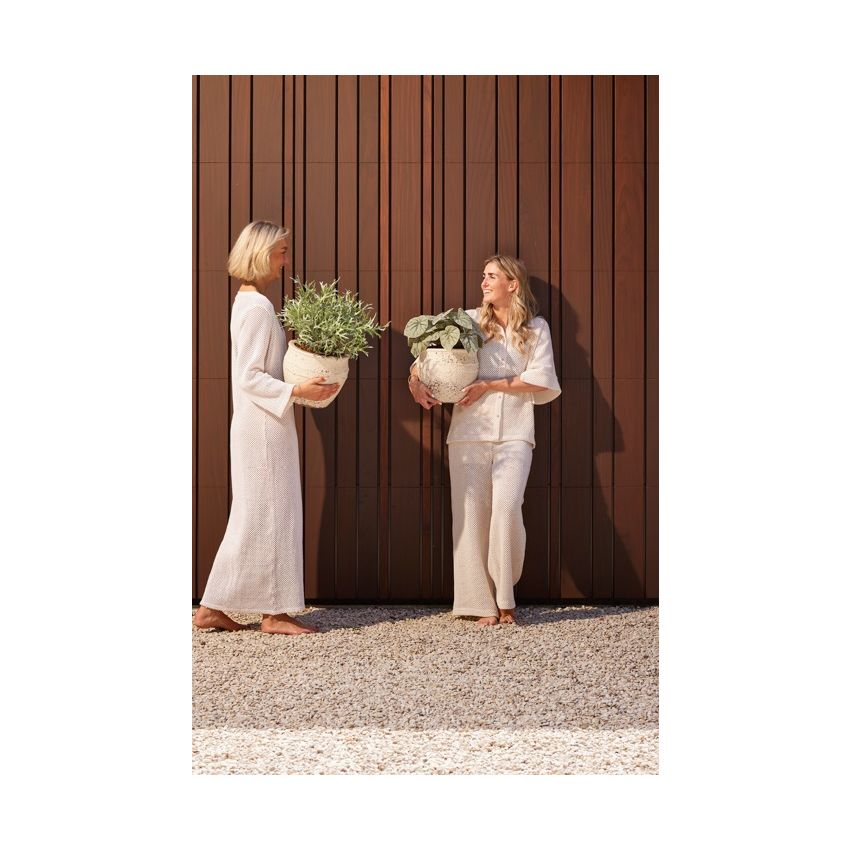 Fern staghorn bush UV 40cm