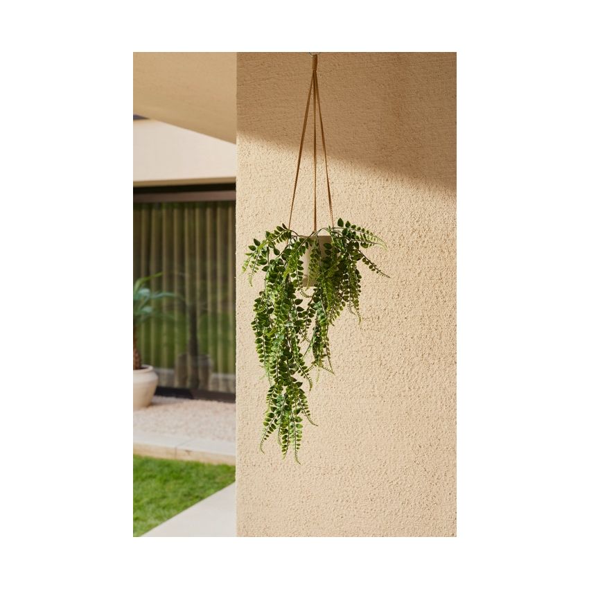 Adianthum hanging bush FR/UV 80cm