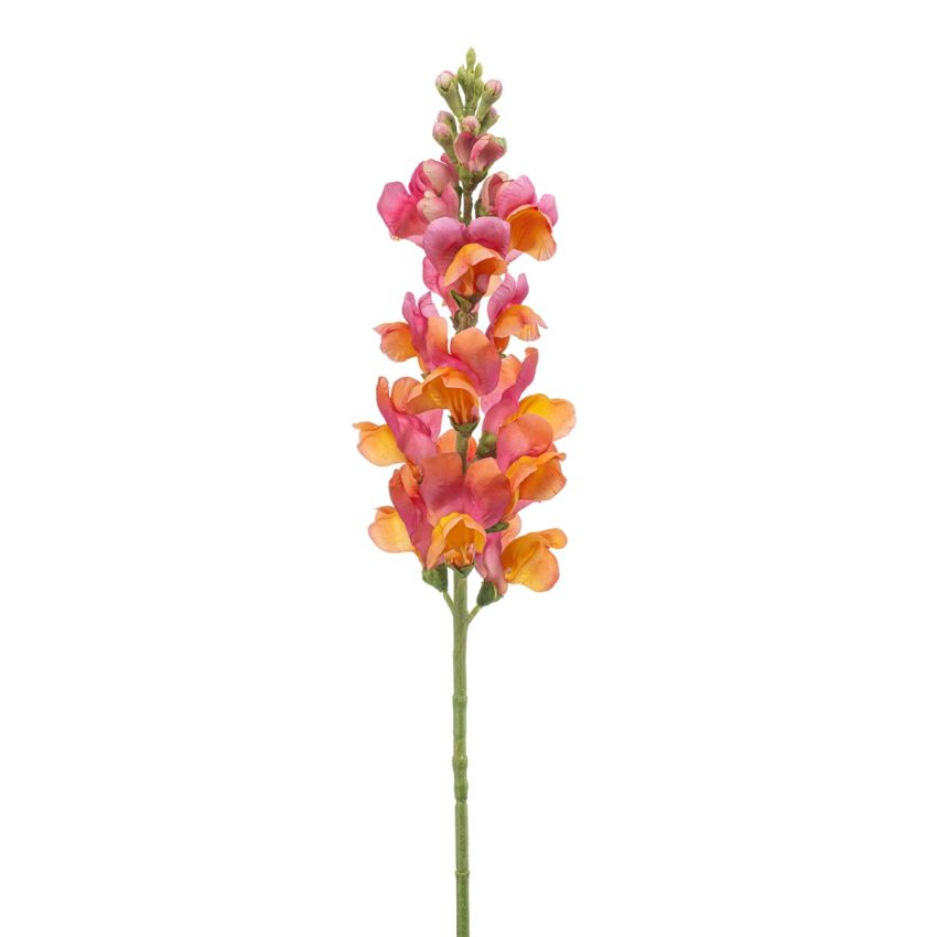 Antirrhinum spray pink/orange 78cm